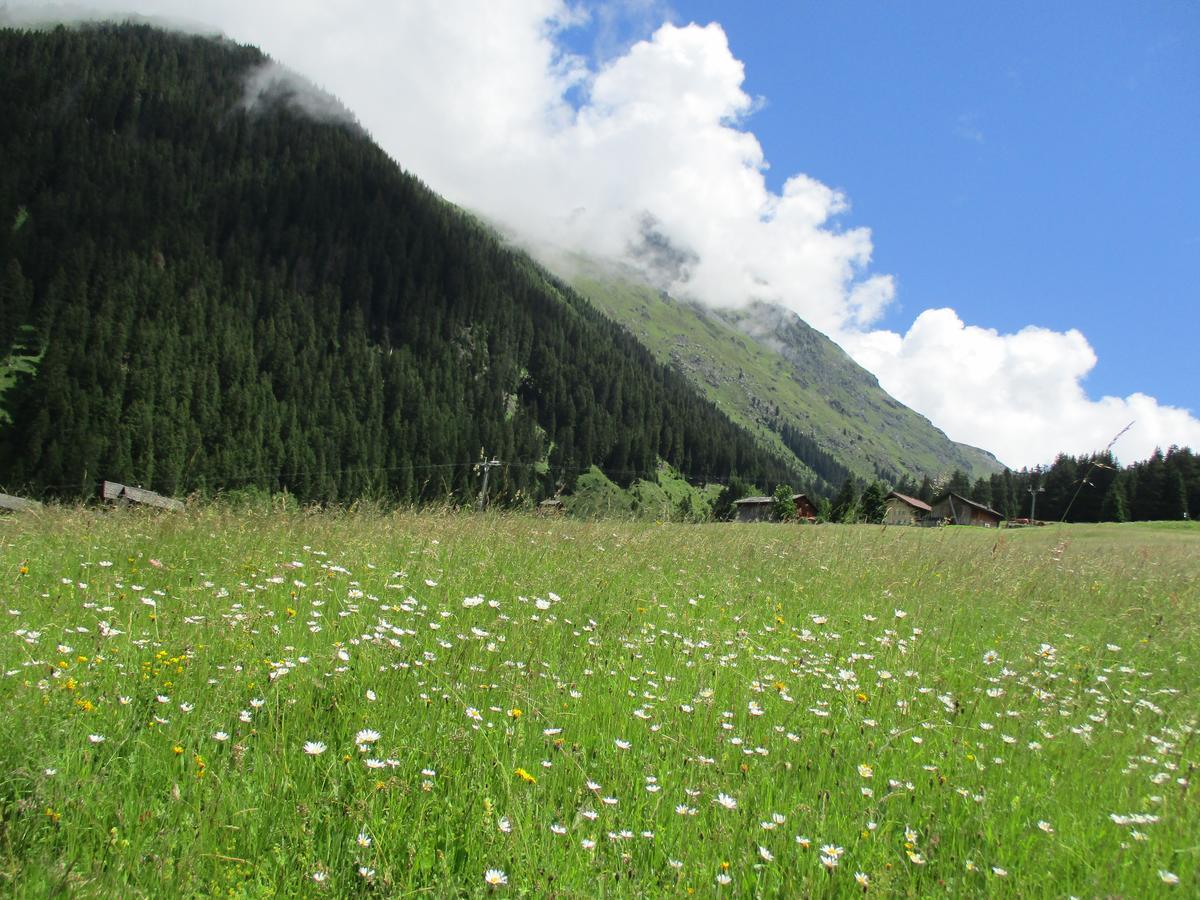 Hotel Silvretta 가글린 외부 사진